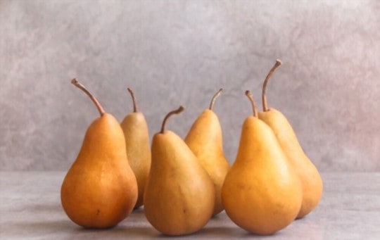 bosc pear