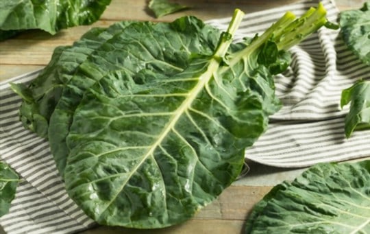 collard greens