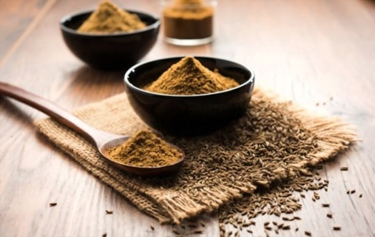 cumin seeds vs cumin powder