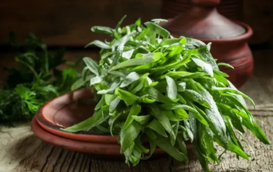 dried tarragon vs fresh tarragon