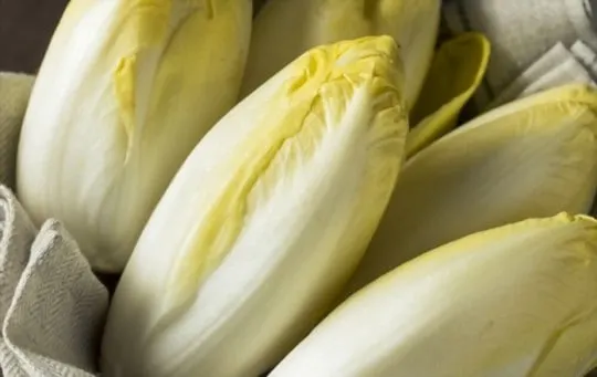 endive