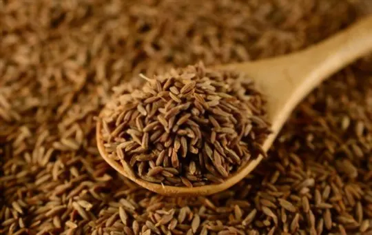 foods that taste good with cumin