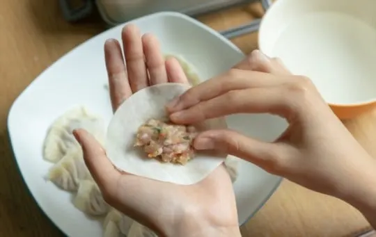 gyoza wrappers