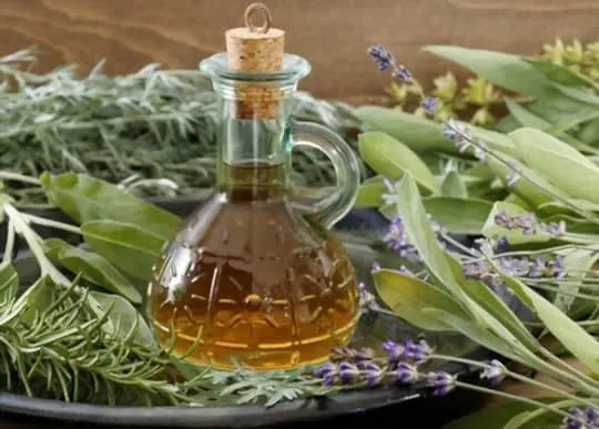 herbs vinegar