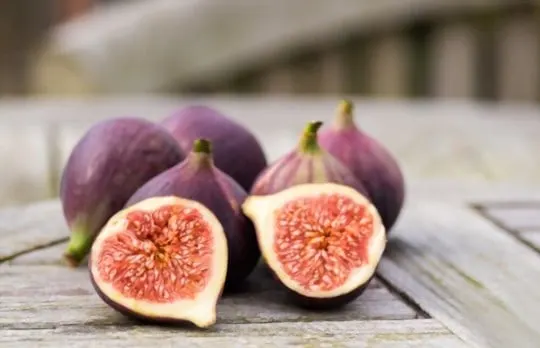 how to prepare and eat fresh figs