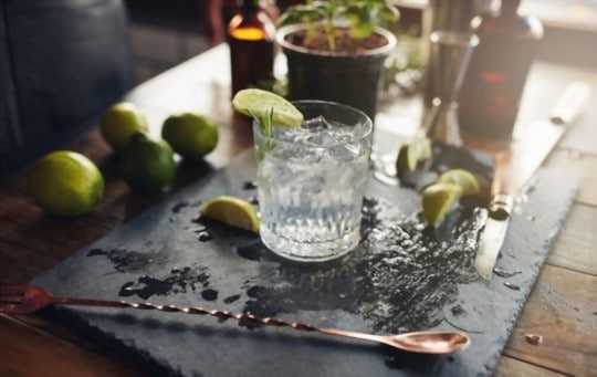 how to serve a gin and tonic