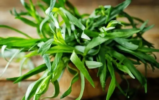 how to use tarragon in cooking