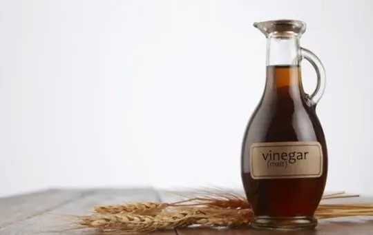 malt vinegar