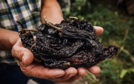 powdered guajillo pepper