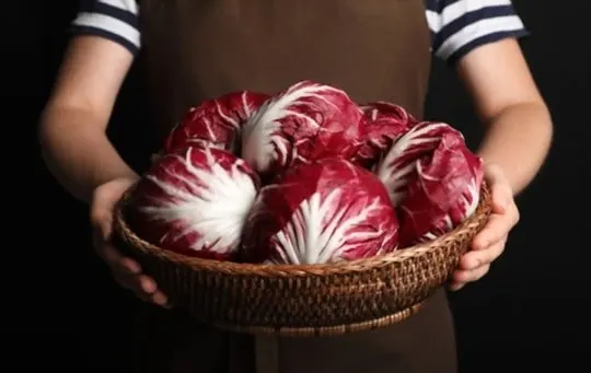 radicchio