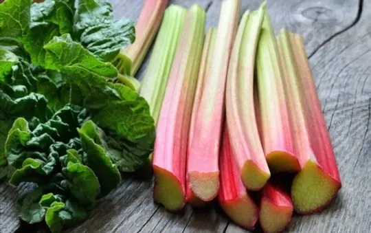 rhubarb