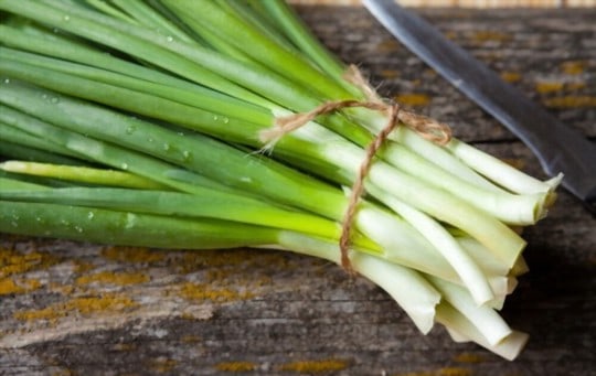 spring onions