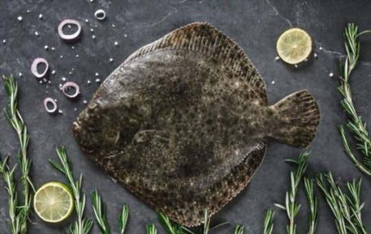 turbot