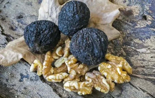 what are black walnuts