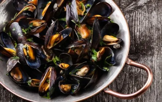 what are mussels