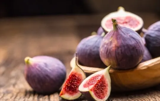 what do fresh figs taste like