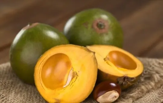 what does lucuma taste like