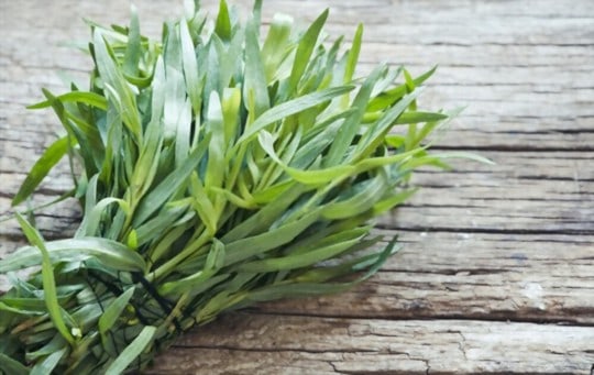 what does tarragon taste like