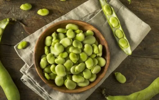 what is fava bean