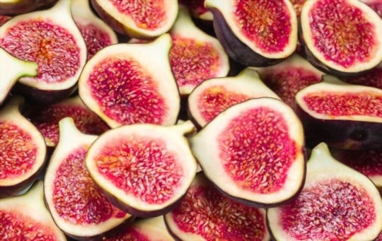 what is fresh fig