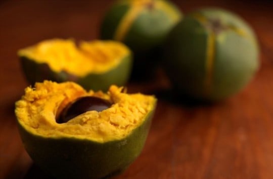 what is lucuma