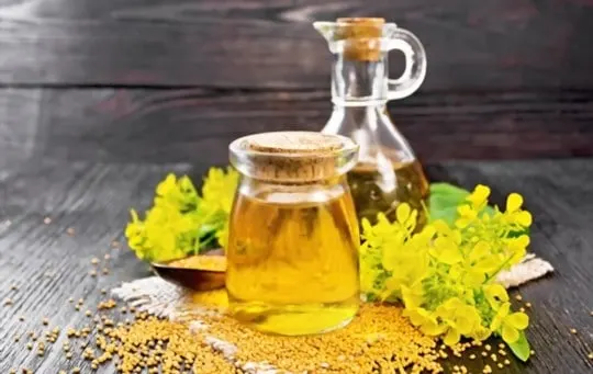 what is mustard oil