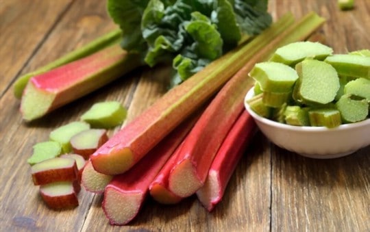 what is rhubarb