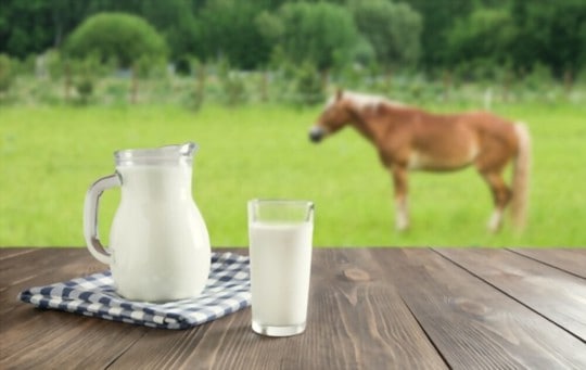 where to buy horse milk