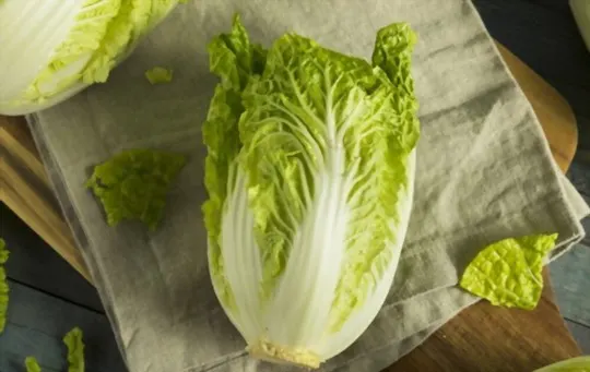 napa cabbage