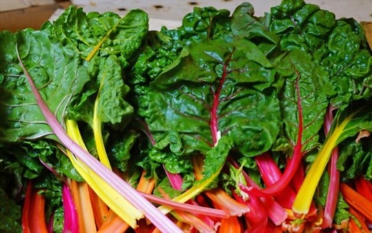 what does rainbow chard taste like