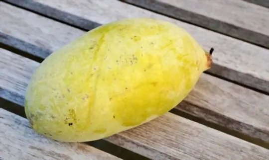 what is paw paw fruit