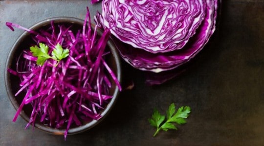 what is red cabbage