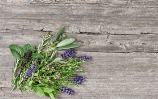 Seasoning Hacks: 5 BEST Herbes de Provence Substitutes