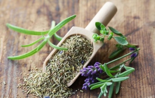 Seasoning Hacks: 5 BEST Herbes de Provence Substitutes