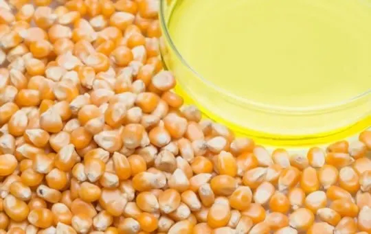 5 BEST Substitutes for Corn Syrup in Caramel