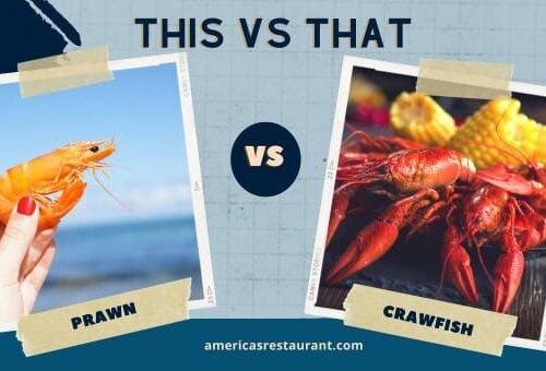 Prawn vs crawfish