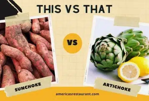 Sunchoke vs artichoke