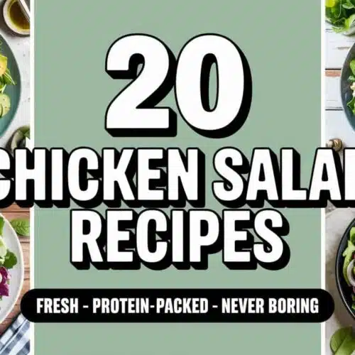 Chicken salad recipes