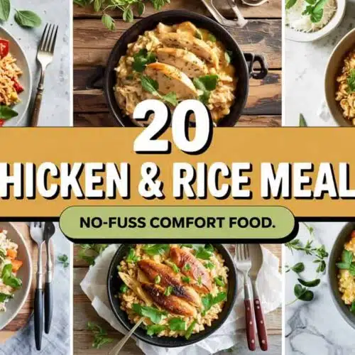 Chicken and rice recipes