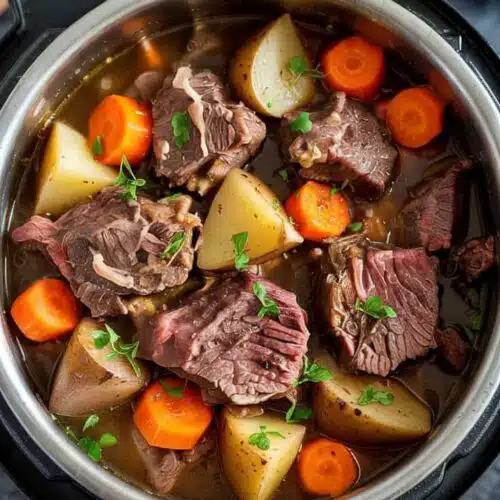 Classic instant pot beef stew this cla